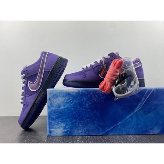 Concepts x Dunk Low SB 